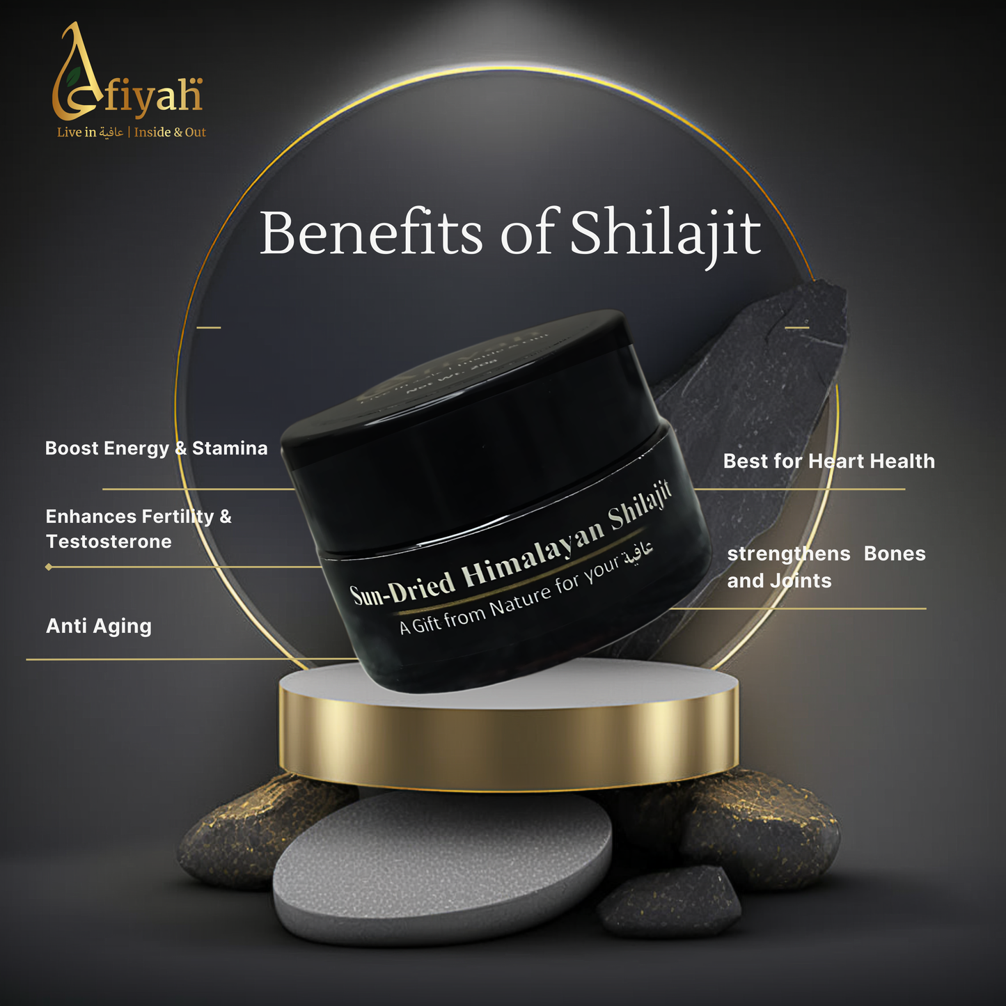 Himalayan Shilajit 20g